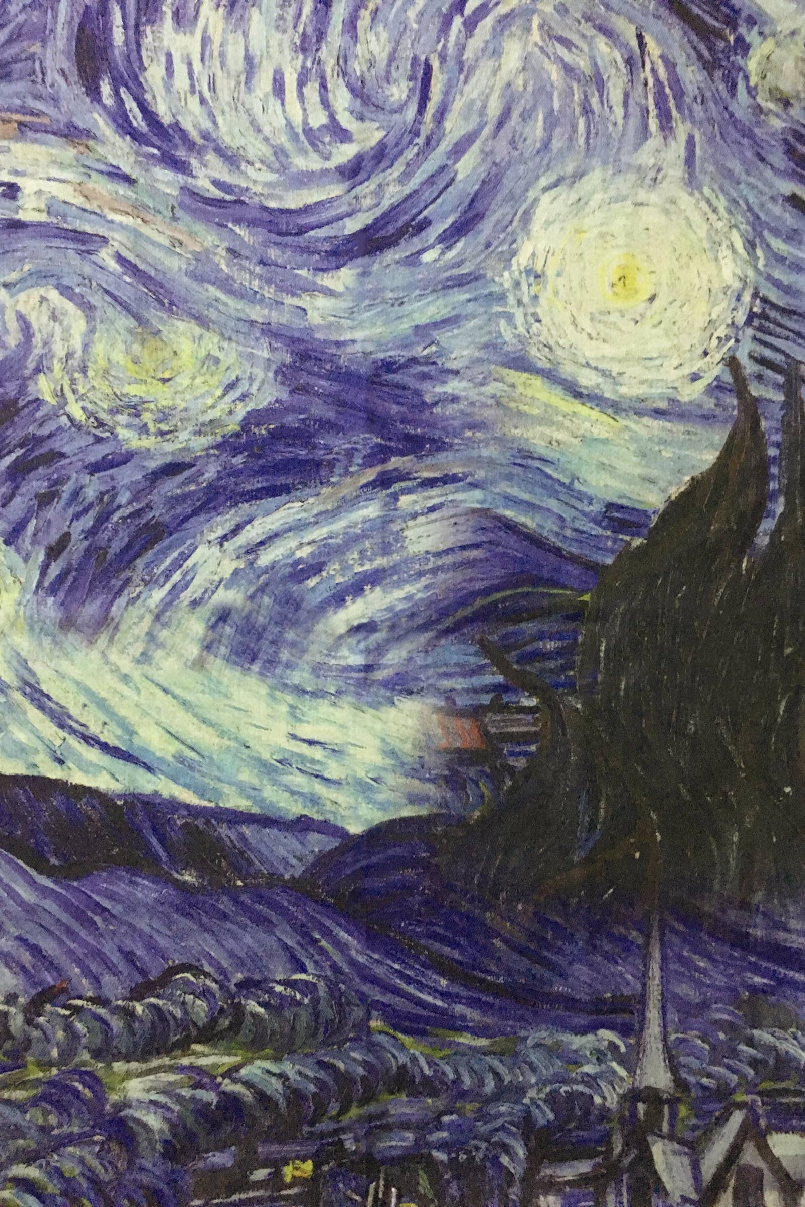 Van Gogh Starry Night Art Print Wool Tassel Scarf: Blue